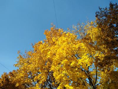 Прикрепленное изображение: IMG_20211014_123206.jpg